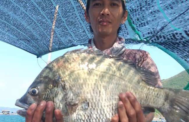 Guests enjoying river fishing during the Hoi An tour